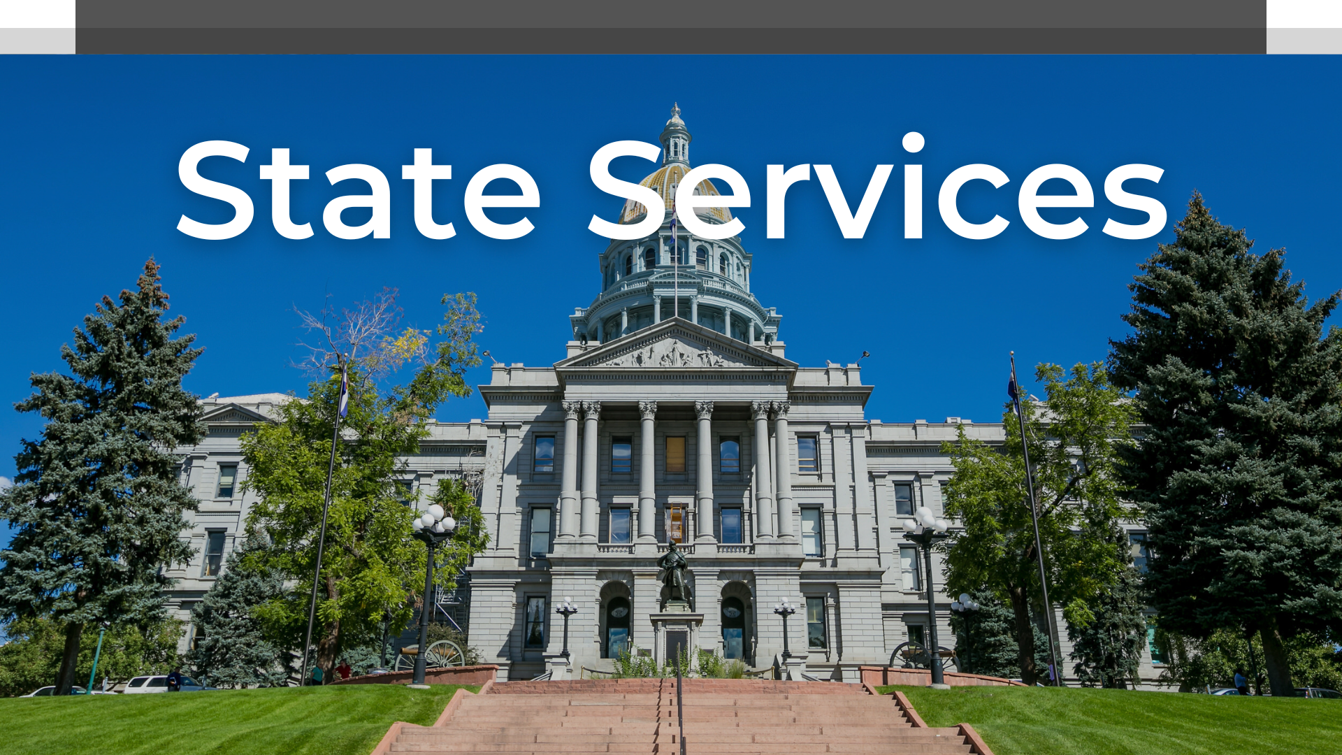 State Services banner